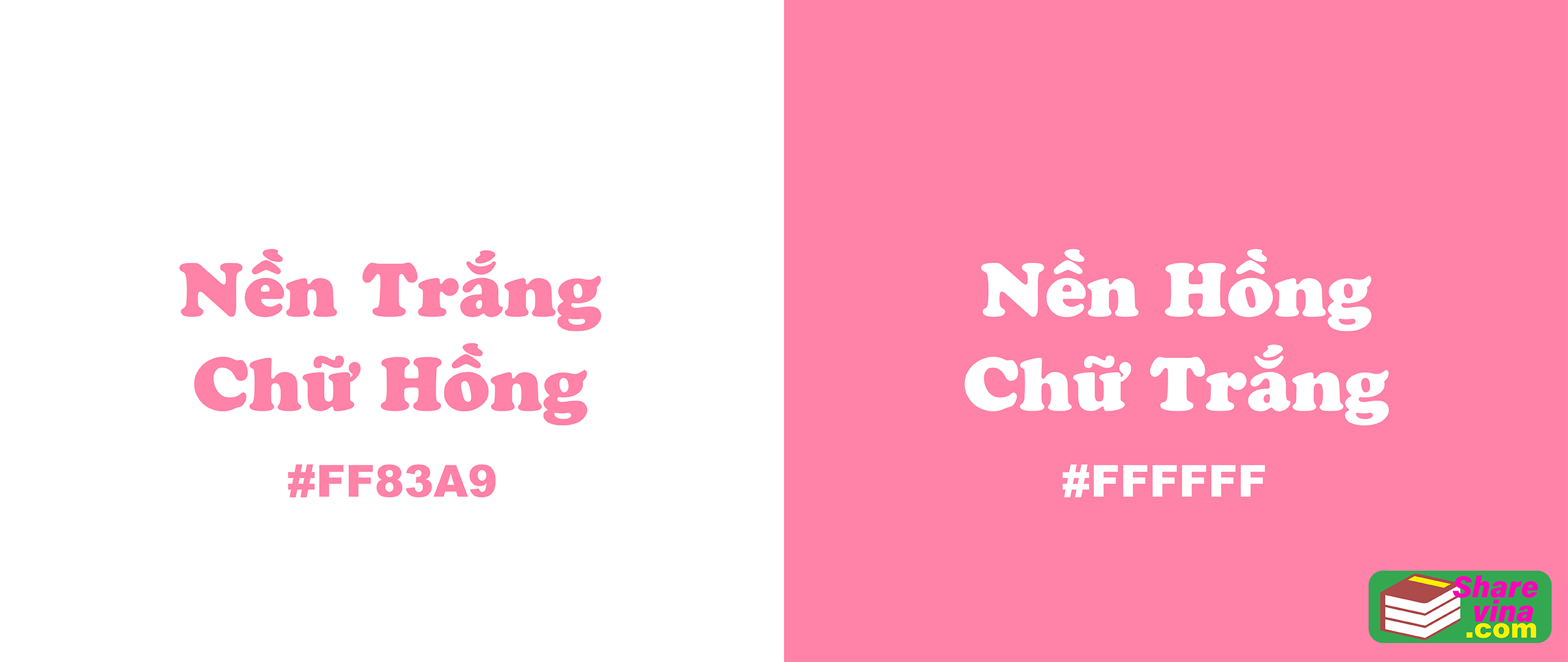 cong-thuc-phoi-mau-ccs-cho-video-hinh-anh-hai-mau-doi-lap-tao-tuong-phan-cao-simihub-cavip-4.png
